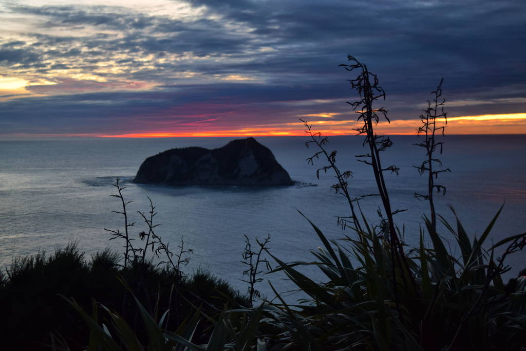 Luna Miel Nueva Zelanda