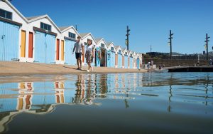 estudiar, trabajar y vivir en Wellington