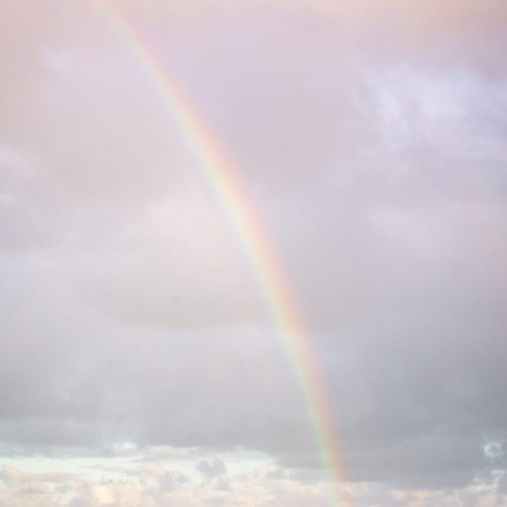 Viaje organizado nueva zelanda